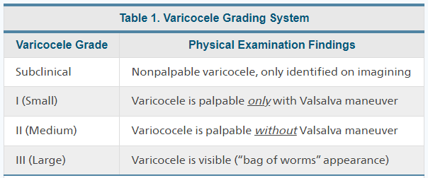 Varicocele grading can be done based on physical exam findings. Only palpable varicoceles have been shown to be associated with male infertility factor, so imaging/repair is not recommended for subclinical varicoceles. Grading is shown below: