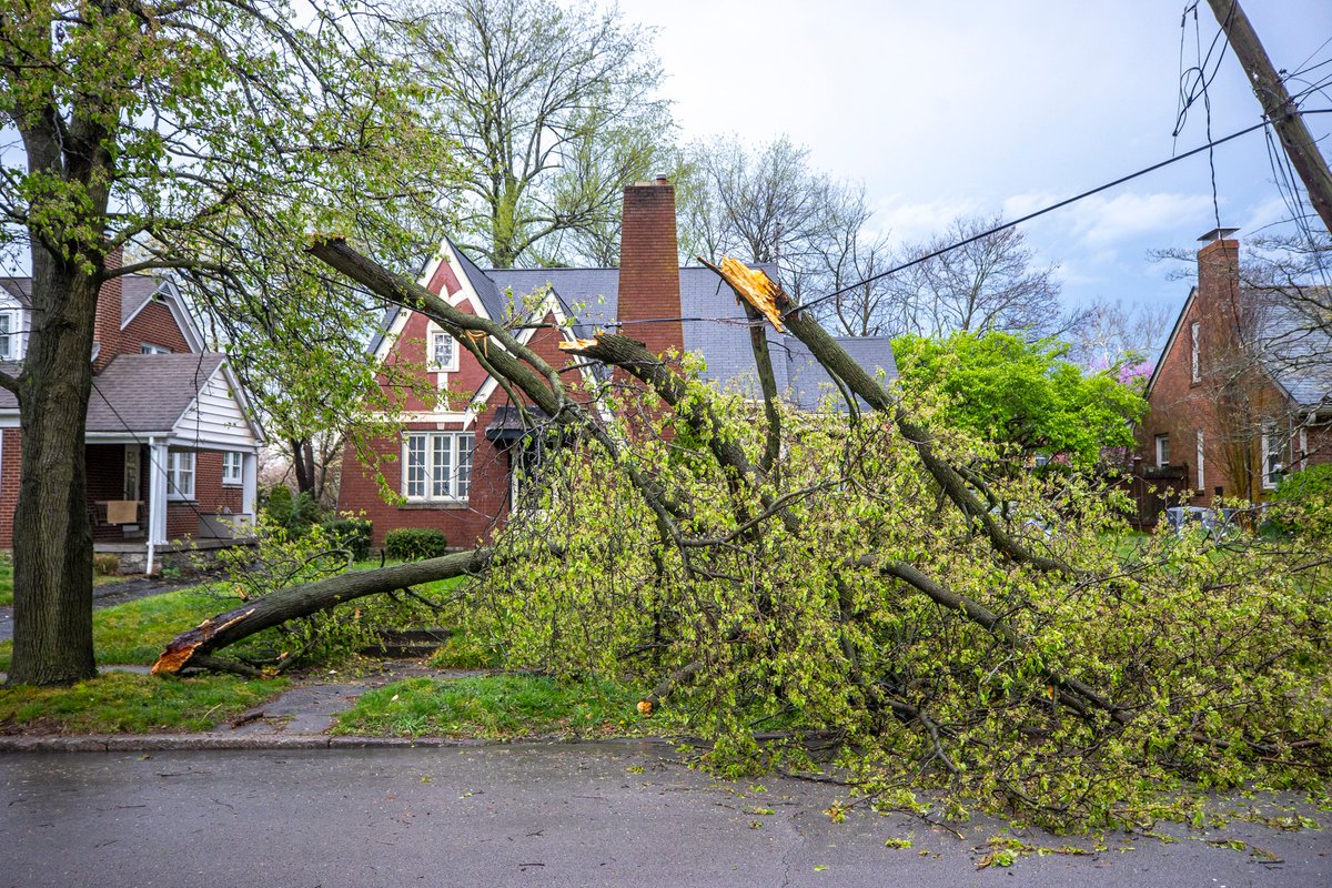 Ryan C. Hermens (@ryanhermens) on Twitter photo Lots of storm damage this morning in Lexington, Kentucky.
<a href="/heraldleader/">Lexington Herald-Leader</a> <a href="/HLpublicsafety/">HLpublicsafety</a> Lots of storm damage this morning in Lexington, Kentucky.
<a href="/heraldleader/">Lexington Herald-Leader</a> <a href="/HLpublicsafety/">HLpublicsafety</a>