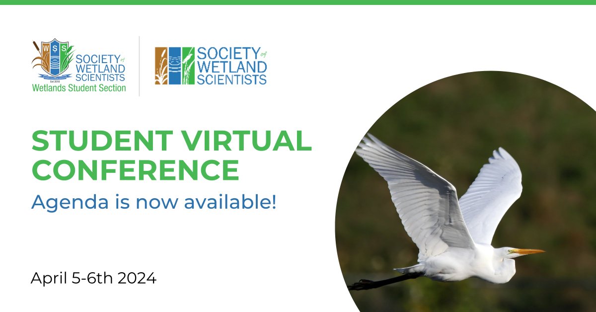 Join us this week for the SWS Student Section Virtual Conference, April 5-6, 2024. Explore the impact of climate change on wetlands and discover innovative solutions. Explore the conference agenda and reserve your place today: bit.ly/4bIYzz4