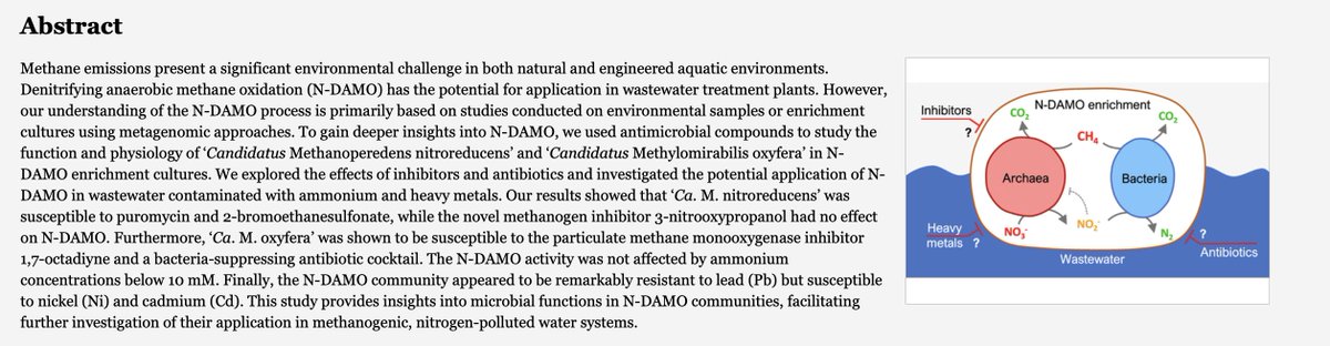 Congrats! Probing Denitrifying Anaerobic #Methane Oxidation via Antimicrobial Intervention: Implications for Innovative Wastewater Management. Nice @SIAMmicrobes collaboration of @wissink_martijn @Glodowska_M & @CUWelte #microbiology @RIBESresearch pubs.acs.org/doi/full/10.10…