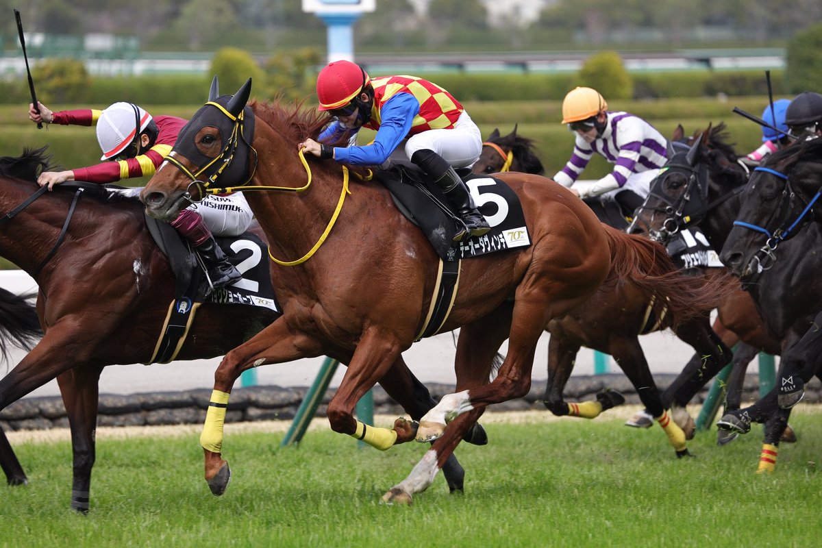 キタサンブラックC