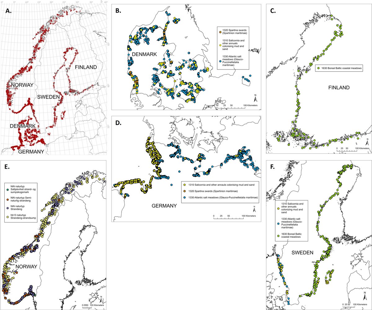 NordSalt tweet media