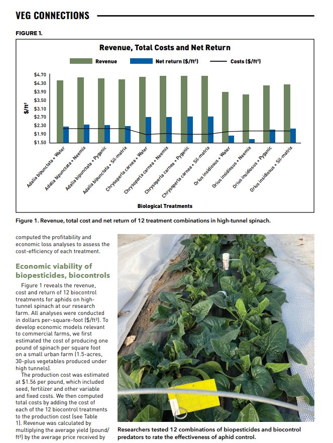 jeanzavalav's tweet photo. Check out our latest article exploring the economic feasibility of biopesticides and biological control published in VGN 🐞🌱 @Ingwell_vegIPM @samanthawillden @hortbizpurdue @PurdueHortLA https://t.co/R8MHQ08FMp