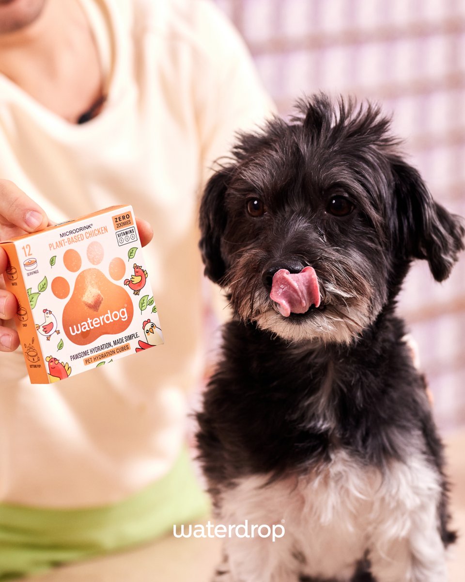 Gotcha! 🐾 Time to let the cat, ahem, dog out of the bag: waterdog was just a fur-tastic April Fools' Day prank! While we loved the idea of seeing your pups sipping on their own Microdrinks, the truth is, our focus remains on creating delicious, hydrating Microdrinks for…