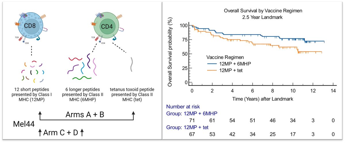 I'm very proud of our talented surgery resident Emily Ninmer, and our team, for her paper recently published in Nature Communications with evidence that a melanoma vaccine stimulating CD4 and CD8 T cells against melanoma antigens prolongs overall survival.
