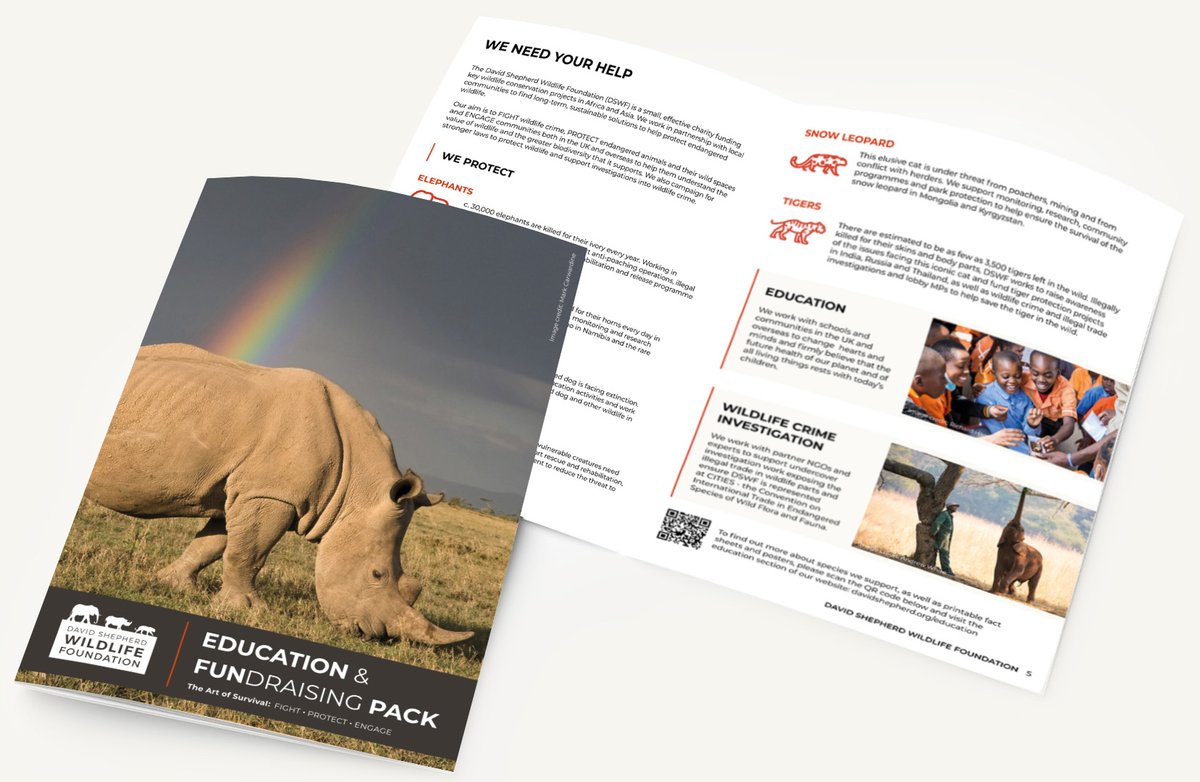 #Education & #FUNdraisingPack now available! ✨ We’re thrilled to offer our FREE downloadable fundraising pack for schools and educators. Access at: davidshepherd.org/take-action/fu… #Education #WildlifeEducation #CharityFundraising