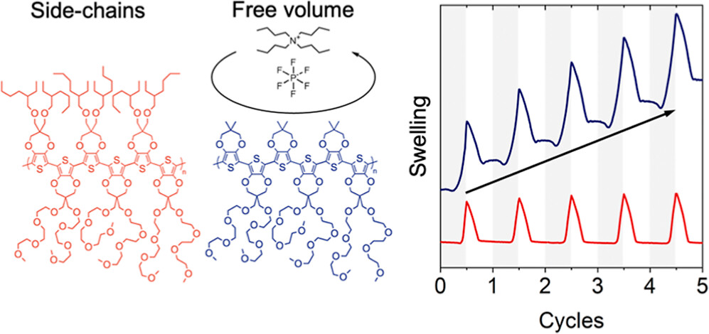 Durbin et al. reveal how side-chain local free volume alters ion transport in polymers for energy storage, electrochromic, and biosensing devices. By @marlowdurbin @alex_balzer1 @DrERatcliff @StingelinN Read the paper 👉 go.acs.org/8IU