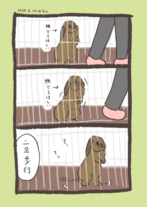 マイケルジャクソンからの進化

#うさぎのいる生活 