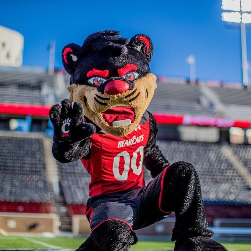 Our next #MascotMadness Round of 32 Matchup: Shasta (Houston) vs The Bearcat (Cincinnati) Who is the better mascot? (Poll threaded)