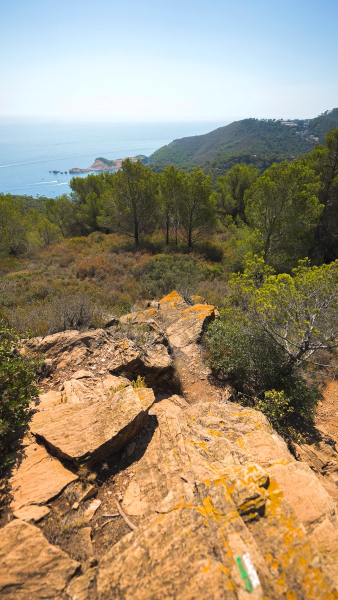 😉 Una molt bona manera de descobrir vistes ESPECTACULARS ❤️ és agafar el kit d'excursió i recórrer els senders, o bé seguir la nostra ruta de miradors...

📍 La Creu - Puig Rodó

#begur #beguresautentic #visitbegur #visitemporda #incostabrava #viueldoble #livetwice #CostaBrava