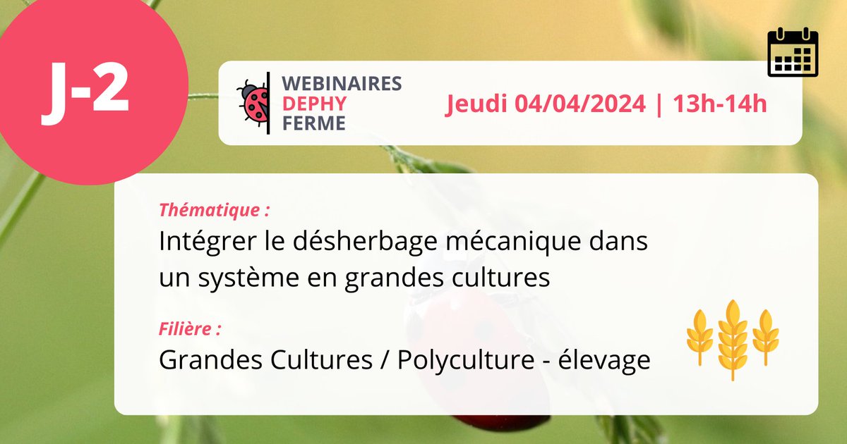 [J-2 WEBINAIRE DEPHY FERME] 🐞
Intégrer le désherbage mécanique dans un système en grandes cultures 🌾
📅 Jeudi 4 avril | 13h-14h
Infos &amp; inscription 👉 cutt.ly/ow0t7Eh0

#webinaire #DEPHY #DEPHYFERME