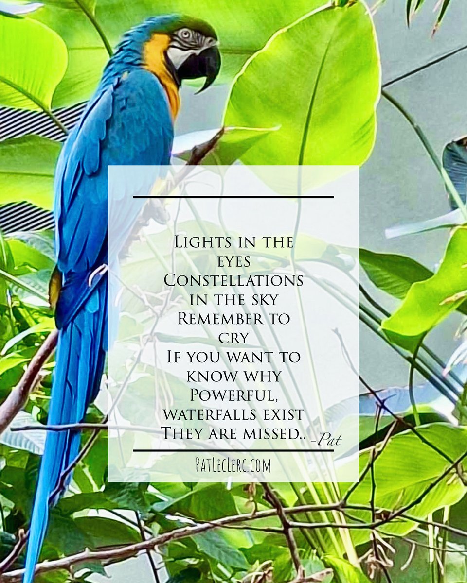 Do you remember why? You cry..
Excerpt from .Com Passions
Art Changes Lives; patleclerc.com/book/
#enjoy #dream #love #change
#poetryofinstagram #poetsociety #publishing #authorsoftumbIr #author #awareness #poetry #beautiful #world #socialmedia #acceptance #art #photooftheday