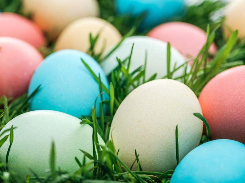 Spring into spring at Whitelee Windfarm🌻🐣

If you’re looking for something to do with the kids during the Easter Holidays…drop by <a href="/Visit_Whitelee/">Whitelee Windfarm</a> for some fun with our @Whiteleerangers🌟 

Sessions are free &amp; on a drop in basis on Thursday 4th &amp; Wednesday 10th April, from