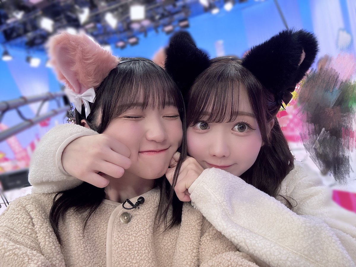 イコラブ愛 今夜地上波放送です💘 春のニャン祭りってなんですか