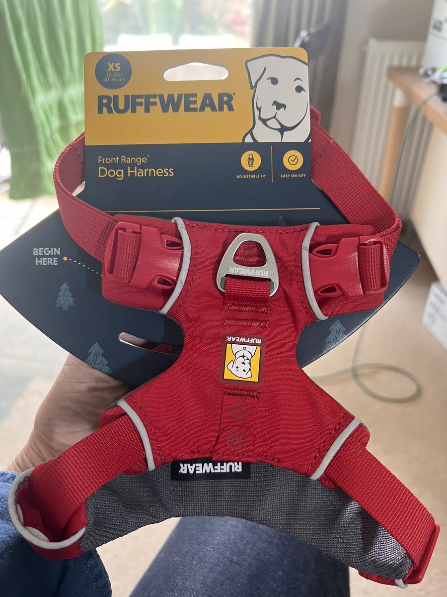 #btposse Miss Lola had a red Ruffwear harness purchased from the inimitable @bemorebob2 that she never had chance to wear due to her condition….we are happy to pass on to a pal in return for a small donation to @BTWelfare ….size XS