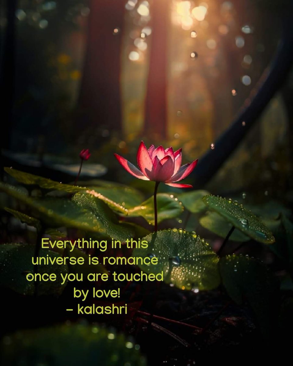 Everything in this #universe is #romance once you are touched by #love! - kalashri