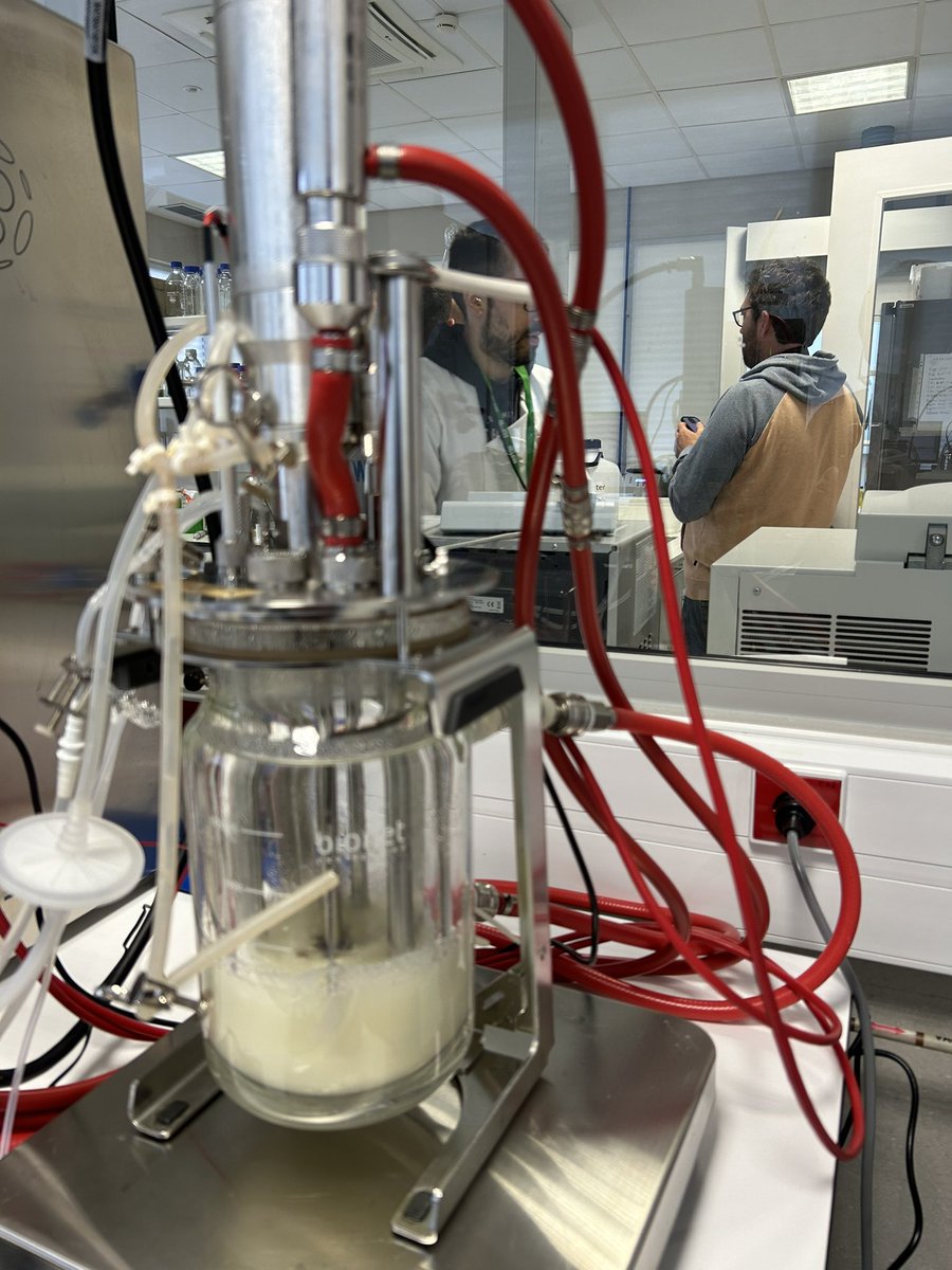 SilicoLife tweet media