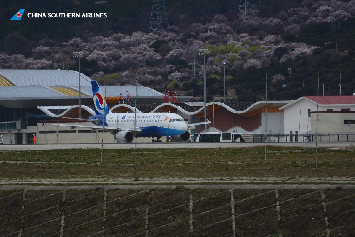 CSAIRGlobal's tweet image. 🛫Departing in the heart of spring's bloom. 🌸

#FlyWithCSAir #CSAir #SpringVibe