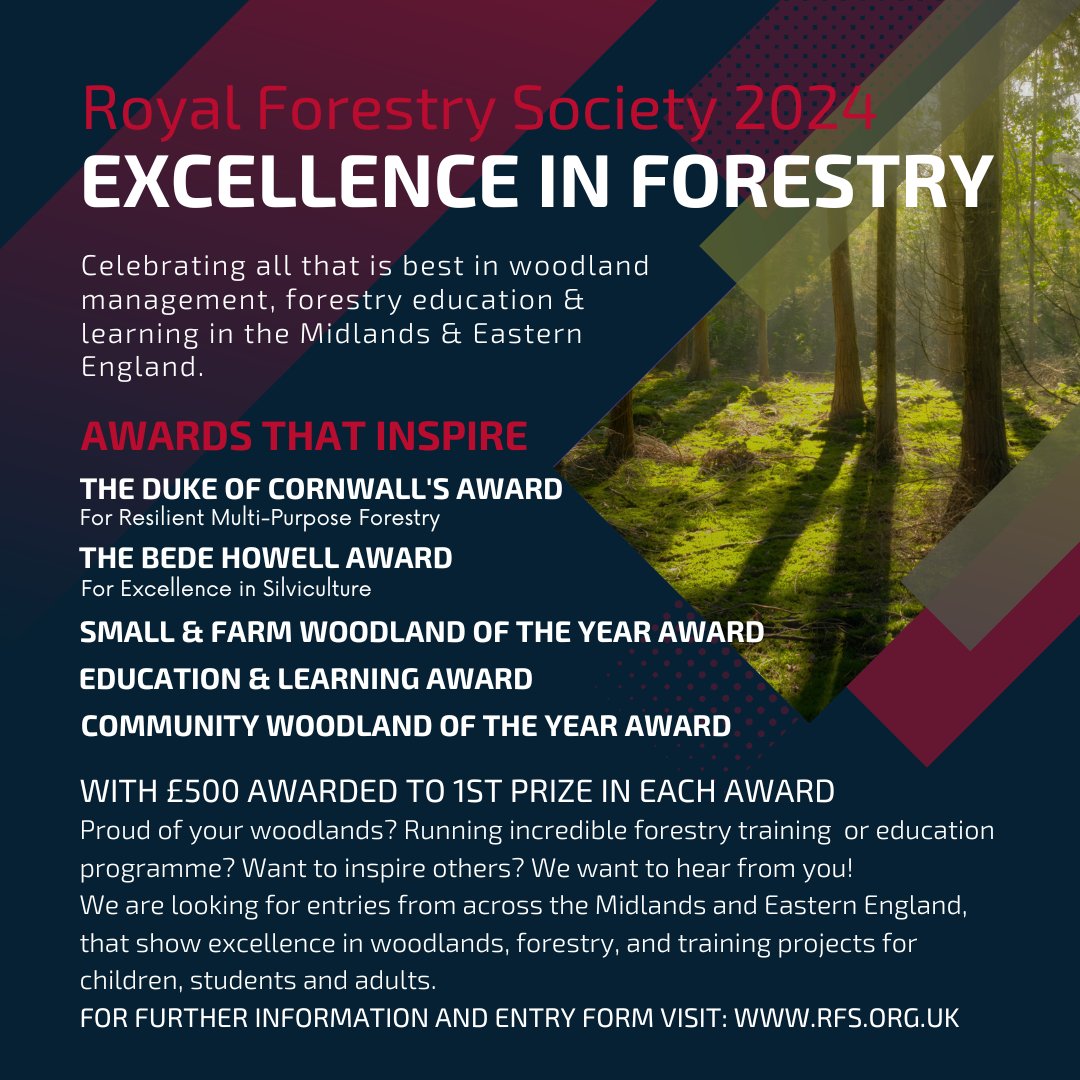 🌲DEADLINE FOR APPLICATIONS: 30TH APRIL! 🌳 Get your application in for the Excellence in Forestry Awards 2024 🏆 open to woods across Central and Eastern England! 🌳 🔗 ow.ly/mZTa50QwHSK #ExcellenceInForestry #ForestryAwards #ApplyNow