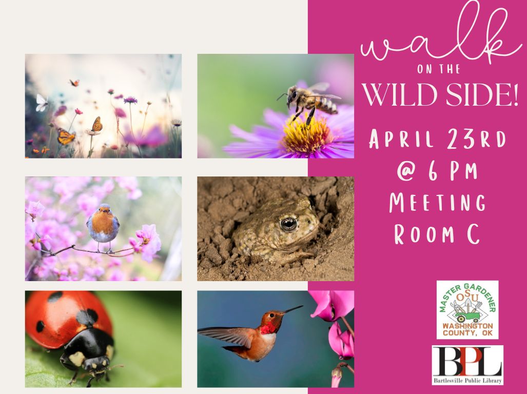 Join us next week as Kloma Laws teaches us about attracting wildlife to our yards.
#BPLibraryLIfe #mastergardeners #wildlife #walkonthewildside