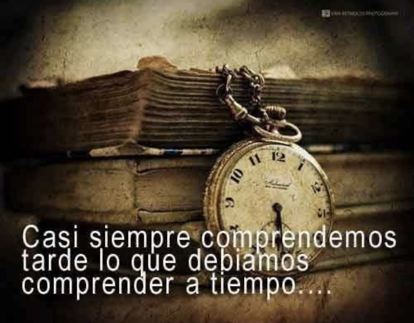 #CasiSiempre #Comprendemos #Tarde #LoQueDebiamos #Comprender #ATiempo #Frases #Reflexiones #Motivación #FraseDelDía #ImágenQueMotiva #ImágenDelDía #FollowMe #Sigueme #SiguemeYTeSigo #SiguemeYTeSigoDeVuelta