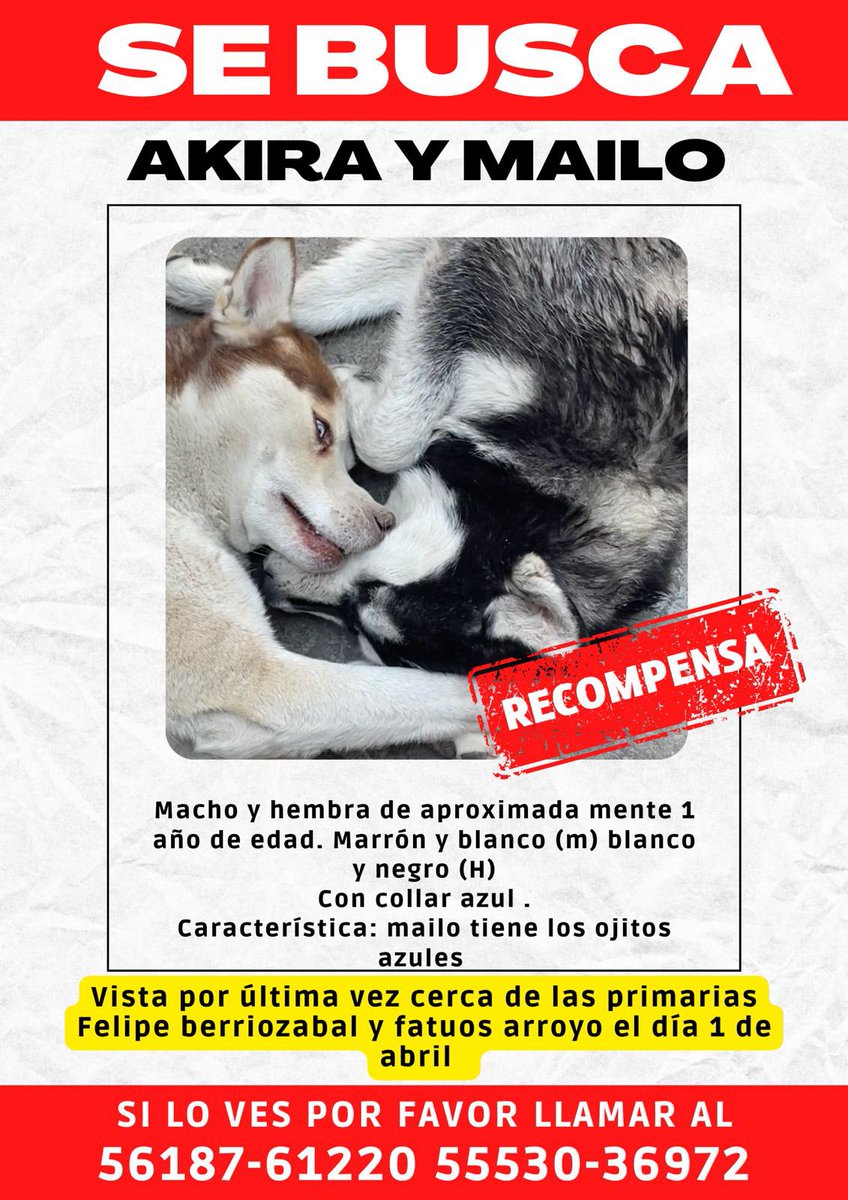 Untitled, image size:848x1200