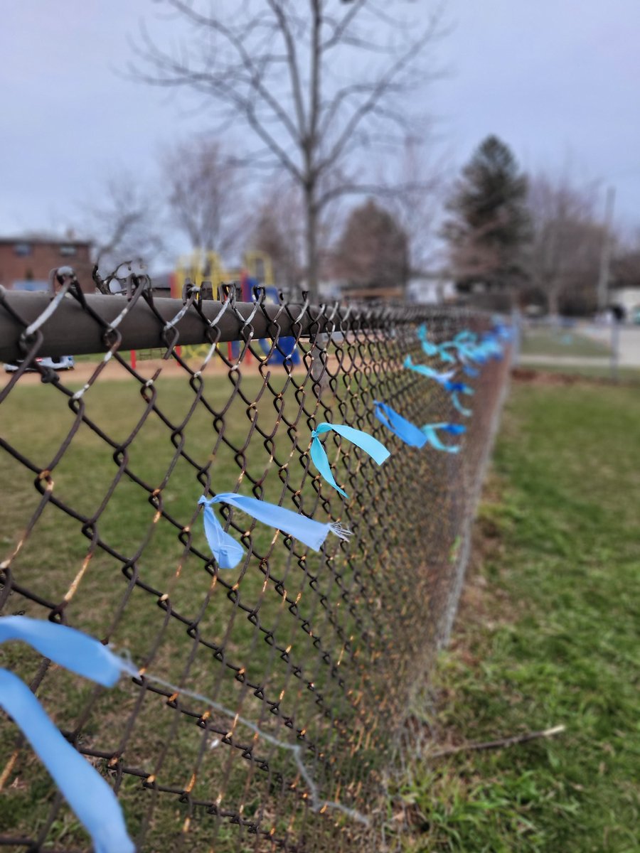 Norman Cook JPS (@normancookjps) on Twitter photo Today, we wear blue and fill our playground with blue ribbons to acknowledge and celebrate World Autism Day. Let meaningful conversations and education open our eyes and our hearts to all those with ASD in our school, community, and beyond. #autismawarenessday2024 <a href="/LizBHolder/">Liz Holder</a> Today, we wear blue and fill our playground with blue ribbons to acknowledge and celebrate World Autism Day. Let meaningful conversations and education open our eyes and our hearts to all those with ASD in our school, community, and beyond. #autismawarenessday2024 <a href="/LizBHolder/">Liz Holder</a>