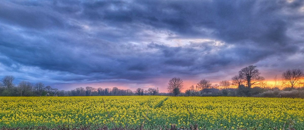 Stormy skies and a field of sunshine. I would say shame it is the other way around but a but of a balance would be nice. <a href="/KWSUKLtd/">KWS UK Ltd</a> campus performing its display