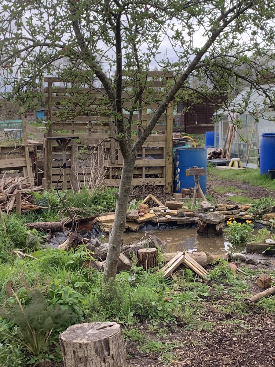 It’s #CommunityGardensWeek….
 We started this week in Lawrence Weston working with young folk to plants onions, garlic and shallots thanks to @blaisenursery and decorate pots!!