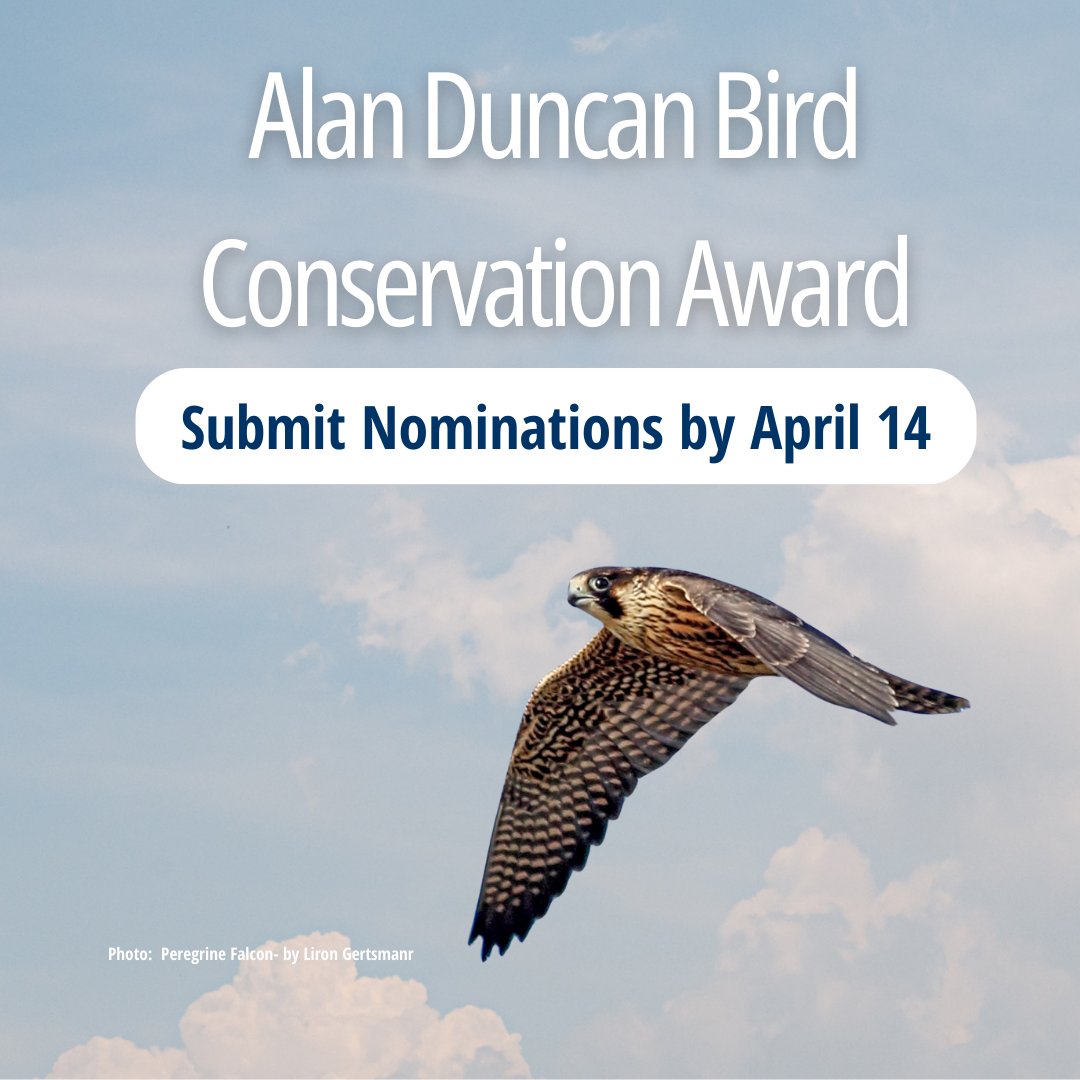 Nominations for this year's Alan Duncan Award are open until April 14. Celebrate outstanding efforts in the #art and #science of local #BirdConservation by submitting your nomination today. 🖼 🔬🐤vancouverbirdcelebration.ca/alan-duncan-bi… #VanBirdPARTY