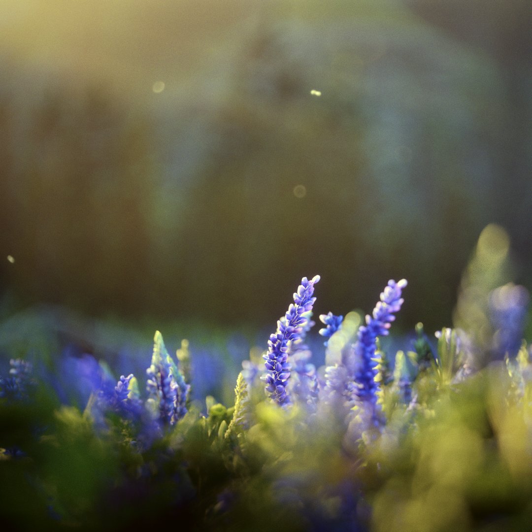 Hary1495g's tweet image. Red Dead Redemption 2-Respite

#RedDeadRedemption2 #RDR2