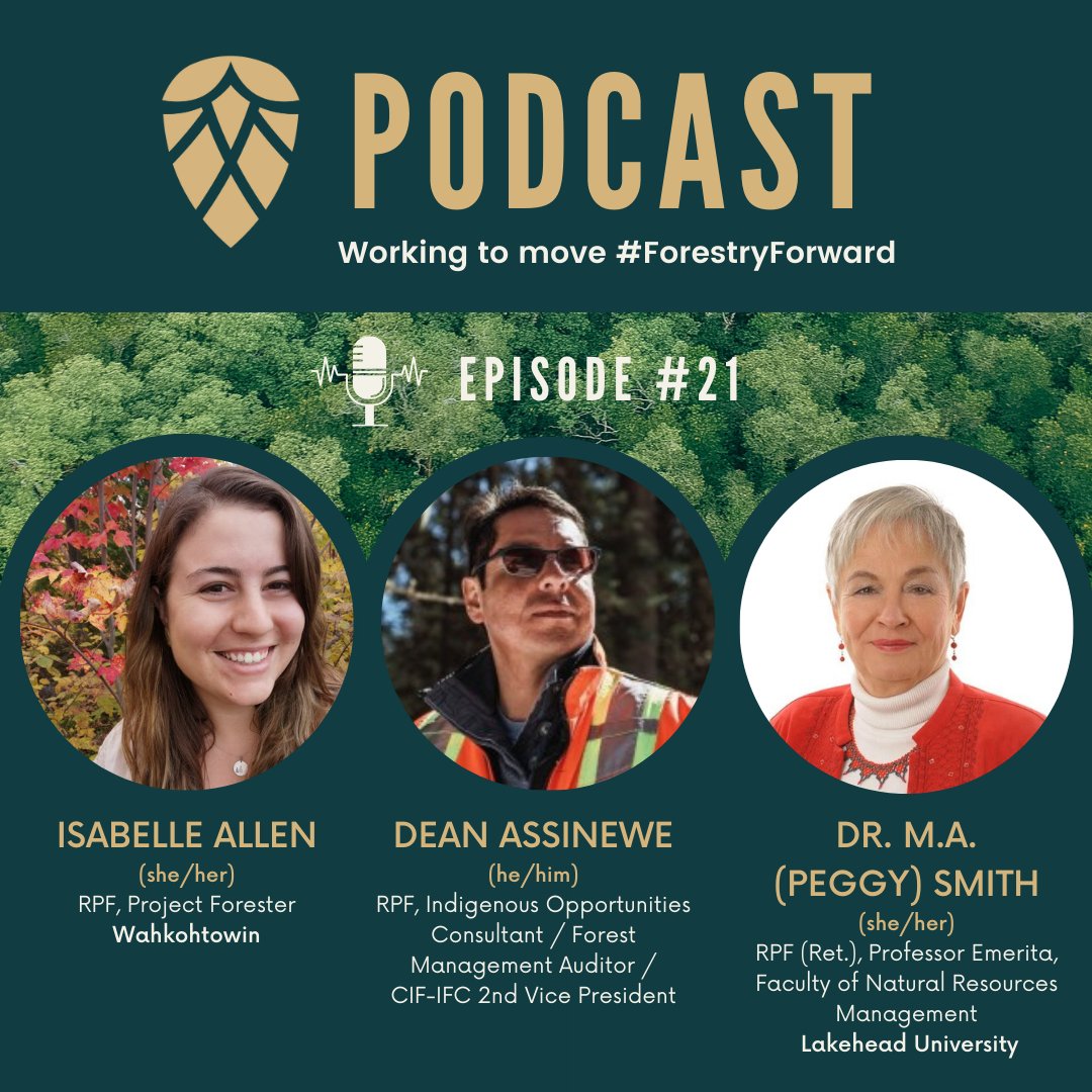 NEW episode of the FTG #Podcast coming soon! For Episode 21, we are thrilled to be joined by 3 guests: 🎙 Isabelle Allen, RPF 🎙 Dean Assinewe, RPF 🎙 Dr. M.A. (Peggy) Smith, RPF (Ret.) Stay tuned for it to air later this month! freetogrowinforestry.ca/podcast #ForestryForward