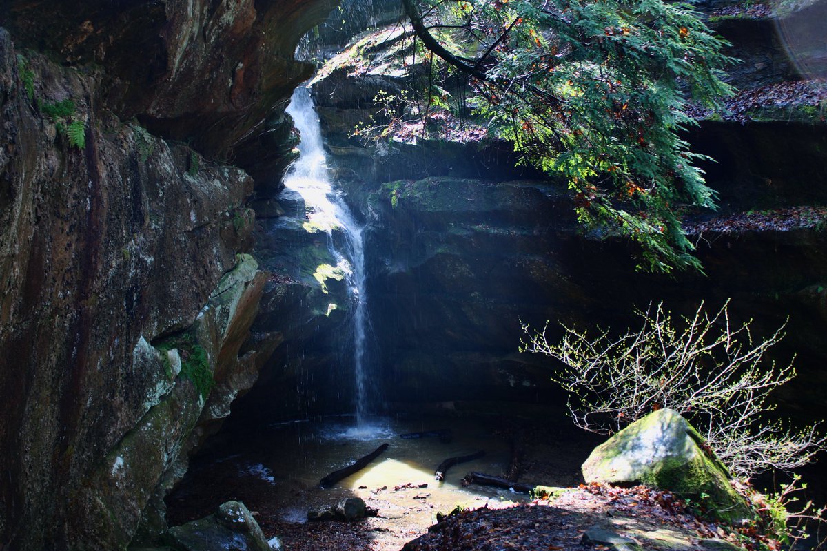 🌿🦋🍂Frog 🍄🪲🪶 tweet media