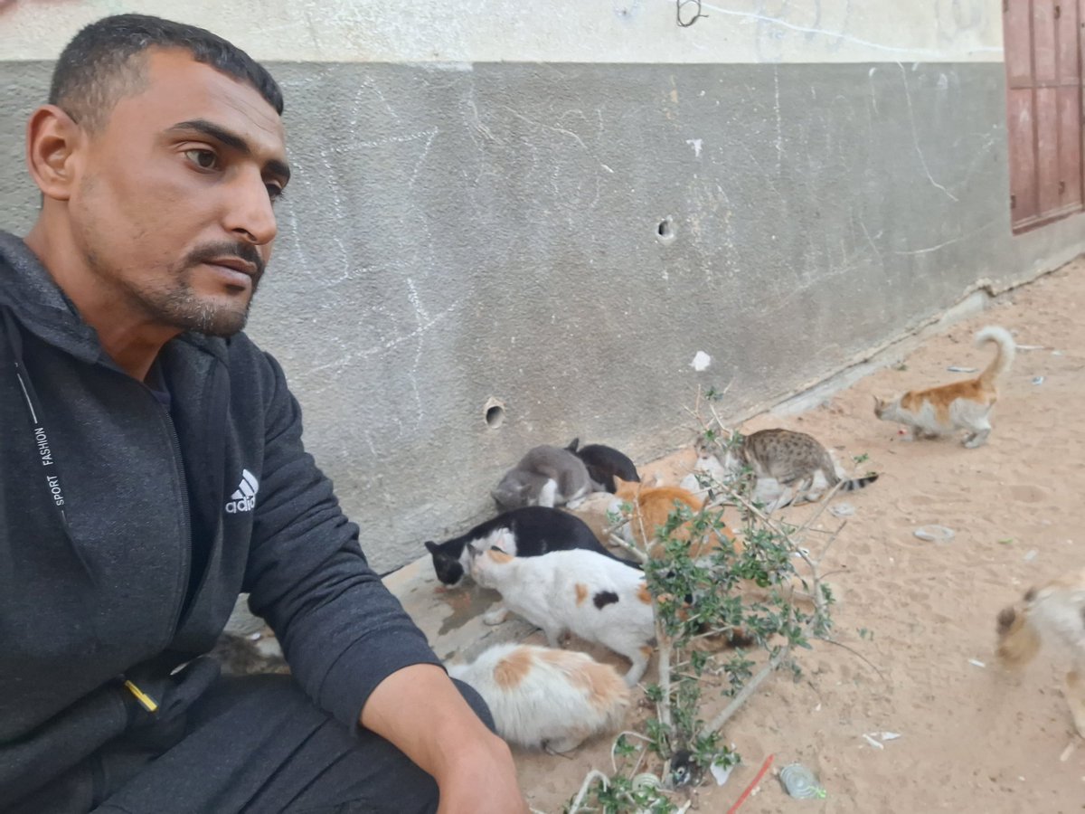 ♥️🇵🇸🇵🇸❤️A lover ♥️of homeless cats😻❤️🌱🌱👍🤗 tweet media