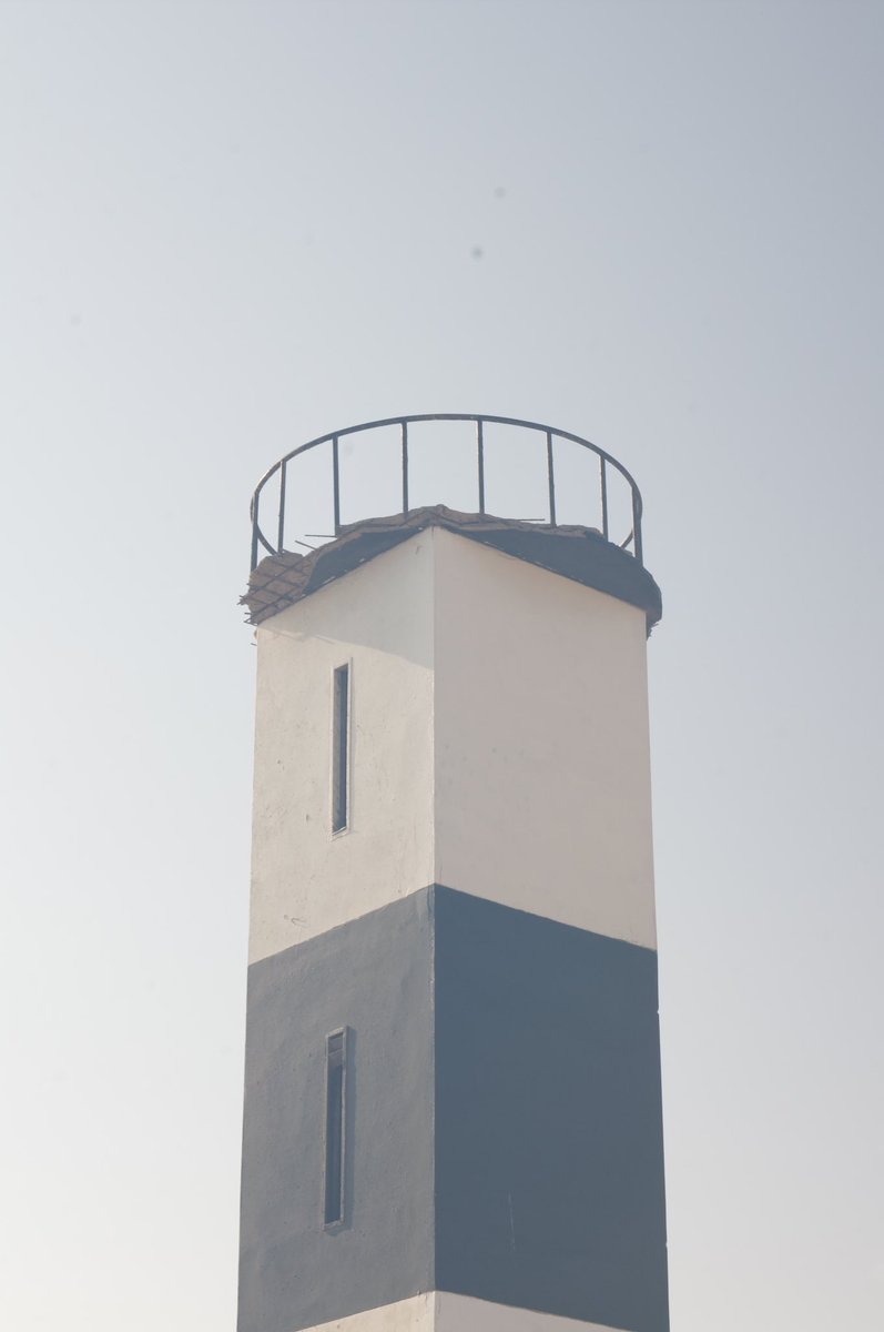 rememberross_'s tweet image. Canela ❤️✨