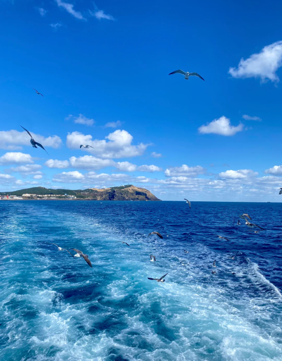 Aileen_784's tweet photo. If possible, let’s go to Jeju Island to see the sea together. I like it very much.
가능하다면 같이 제주도에 가서 바다를 구경하자. 정말 좋다. https://t.co/uR3zOX782T