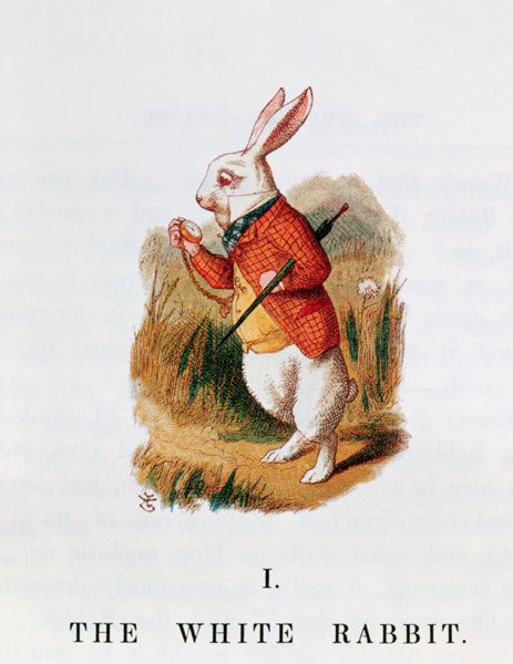 ‘but when the Rabbit actually took a watch out of its waistcoat-pocket, & looked at it, & then hurried on, Alice started to her feet, for…she had never before seen a rabbit with either a waistcoat-pocket, or a watch to take out of it…’
—Lewis Carroll
#FairyTaleTuesday