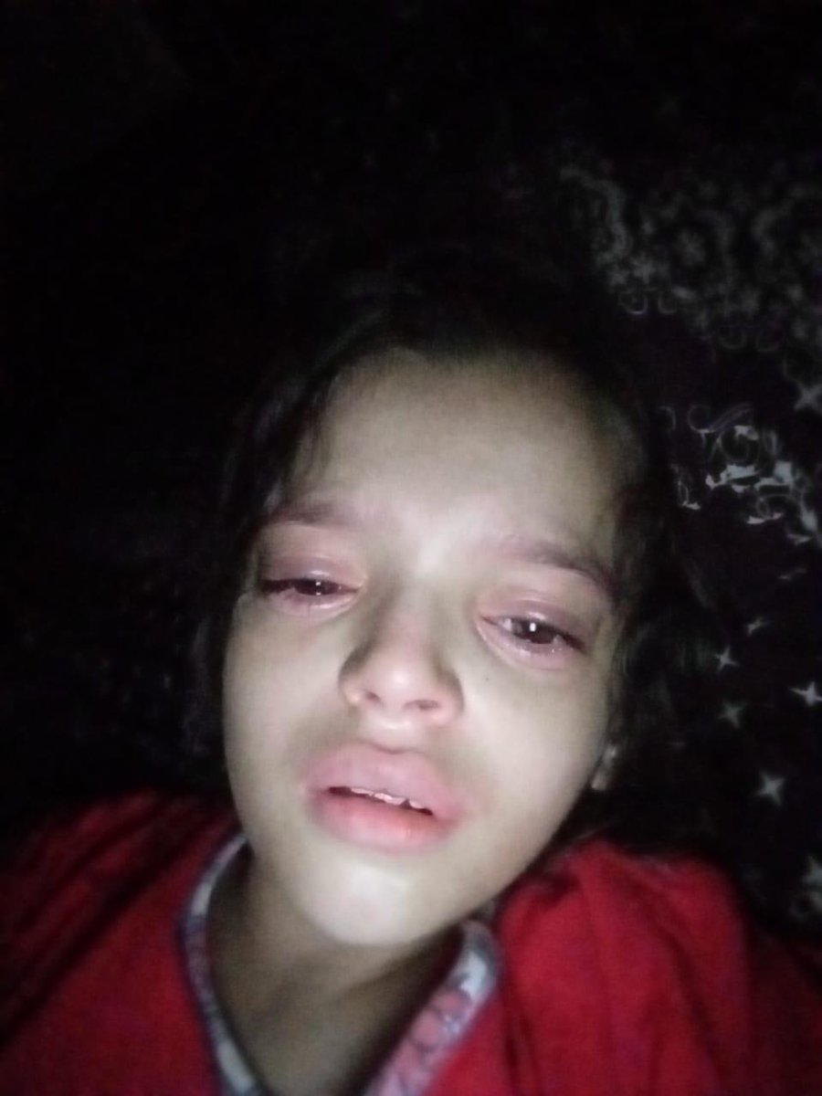 Shlomi Eldar tweet media