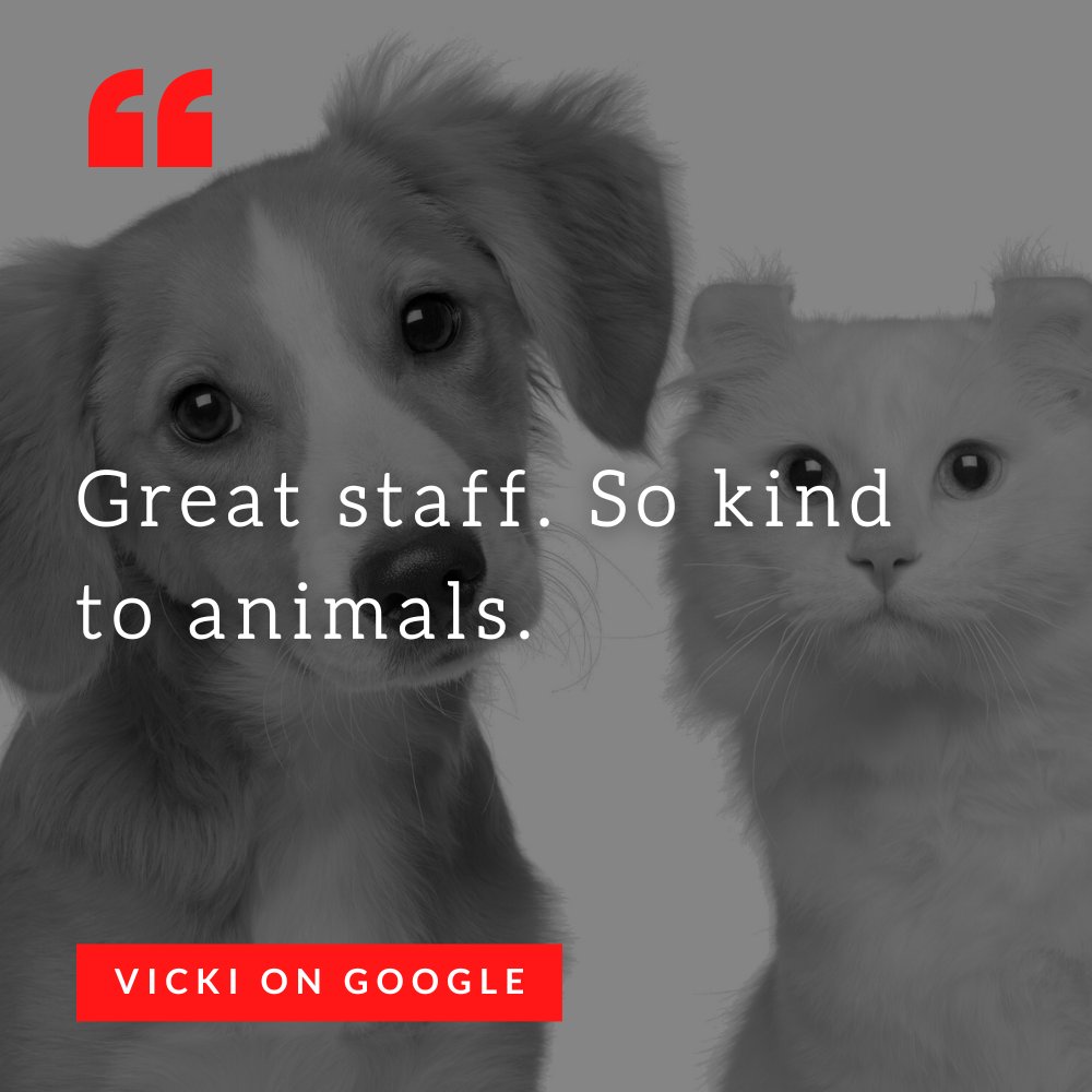 We appreciate your kind words, Vicki!

#CompanionPetClinic #NorthPhoenix #veterinarymedicine #veterinarian #review #happyclient #recommendation #clientrecommendation #clientreview