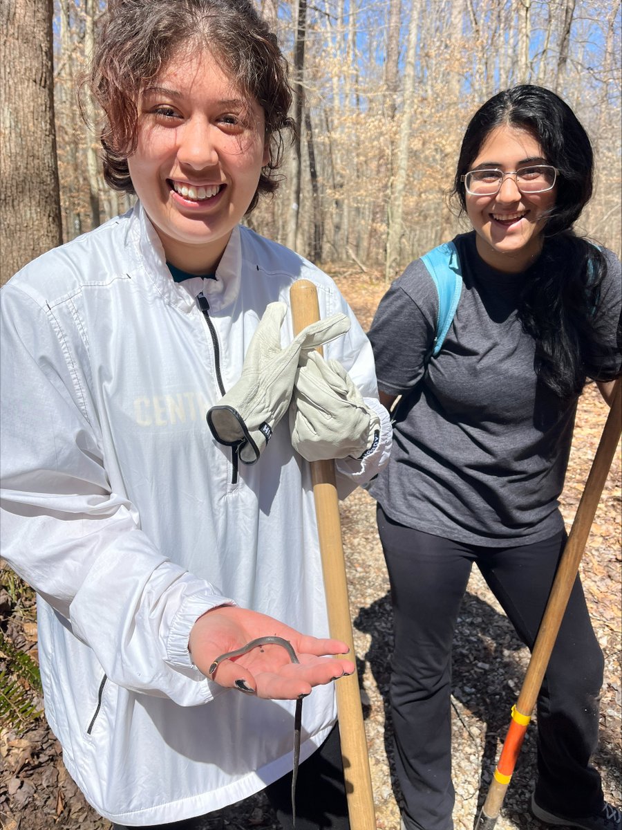 #CentreService Students volunteered with the Cave Run chapter of the Sheltowee Trace Association to help maintain a trail near Clear Creek Campground — removing invasive species, clearing brush and rebuilding sections of the trail with drainage issues.