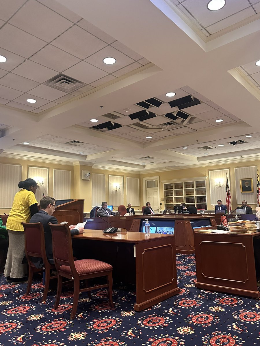 PMDtenants's tweet photo. Our very own External Affairs Chair, Tonia M Chestnut, testified on the witness panel to support the Tenant Safety Act! Thank you @Willcsmithjr for your words of support and we look forward to getting this bill across the finish line with you! https://t.co/KLVYSyx1R2