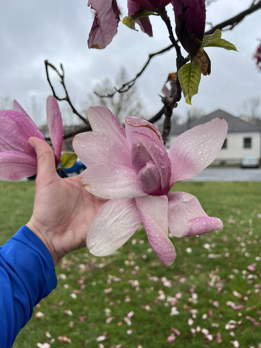 Hannah Mainolfa tweet media