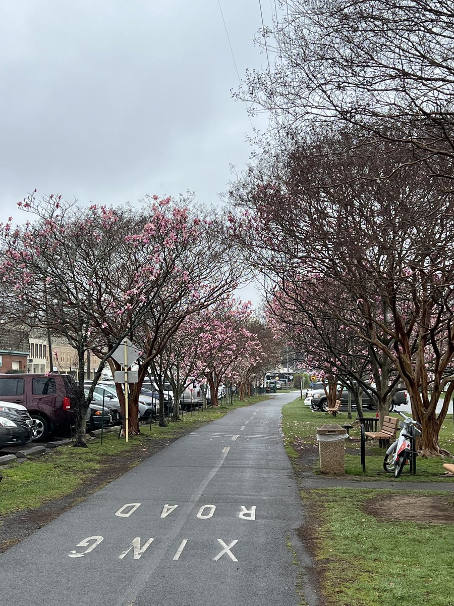 Hannah Mainolfa tweet media