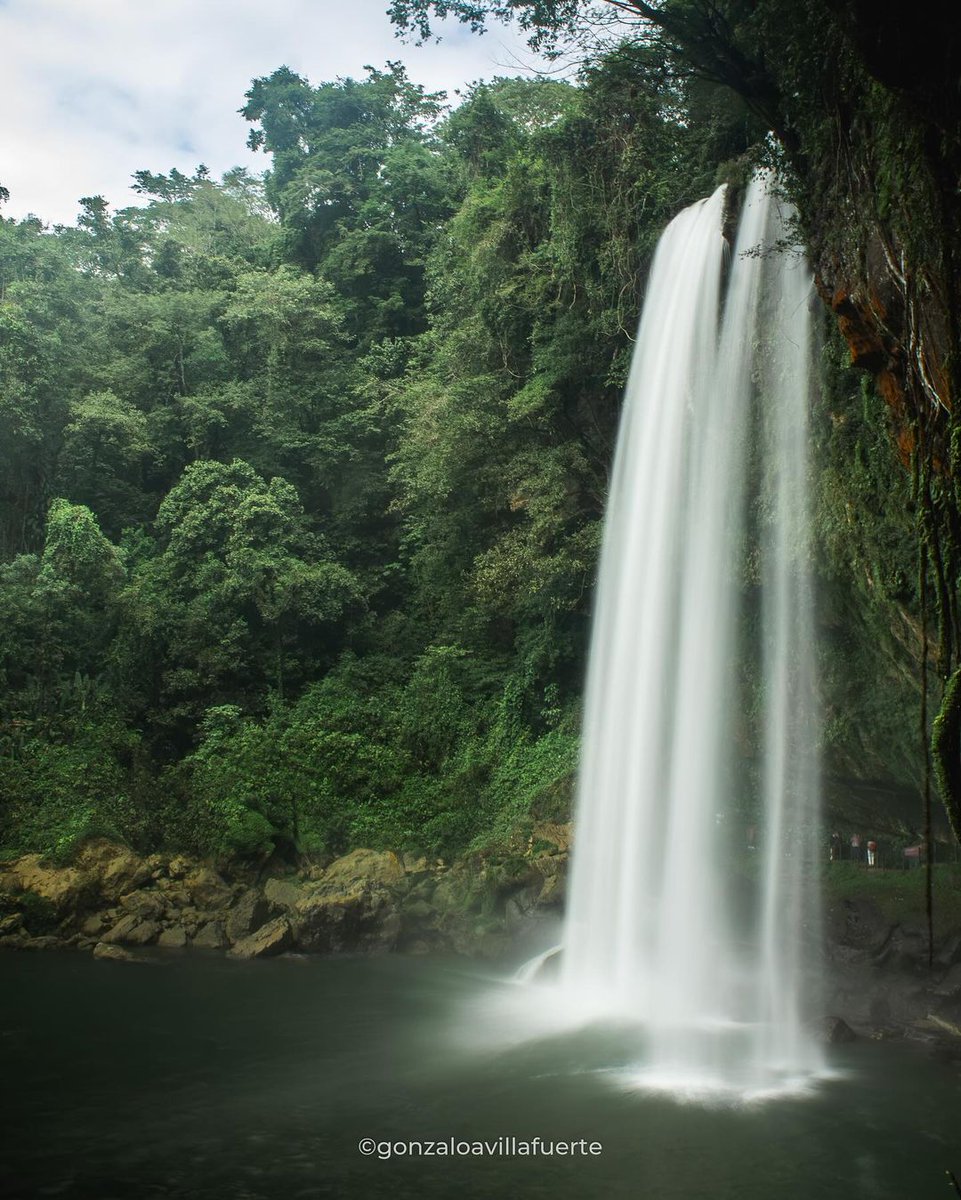 Sectur_Chiapas's tweet photo. Destinos con encanto entre selva y agua. ¡Visita este mágico lugar!
📸 gonzaloavillafuerte 👏
📍 Cascada Misol há, Chiapas
#chiapasmaravilloso #mexicodestinos #mexicotravels #chiapasmexico #misolha #mexico_oficial #naturelovers #palenquechiapas #visitchiapas https://t.co/EEaS057wWe