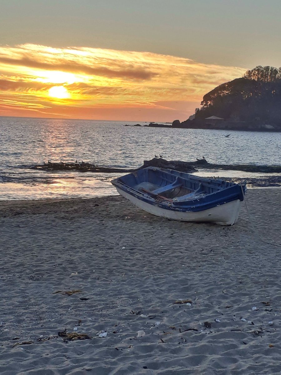 Sand 🇨🇱 tweet media