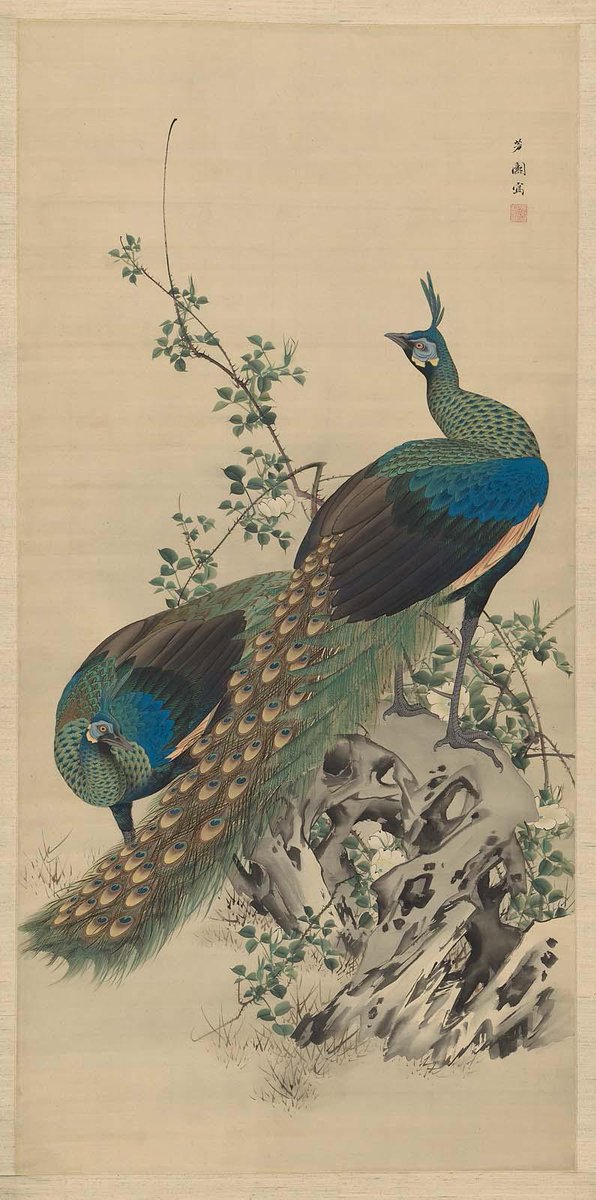 Peafowl, by Nishiyama Hôen, mid 19th century

#shijoschool