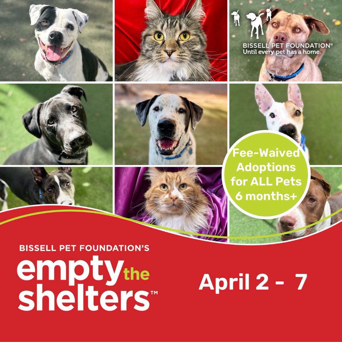 🚨 Let’s Empty the Shelters 🚨 We’re partnering up with <a href="/BISSELLPets/">BISSELL Pet Foundation 🐶🐱</a> for waived adoption fees on all pets ages 6month+ from Tuesday, April 2 to Sunday, April 7!

Stop by our Main Shelter (25 N. 40th St.) &amp; our Chandler Adoption Center (3111 W. Chandler Blvd.) this week!