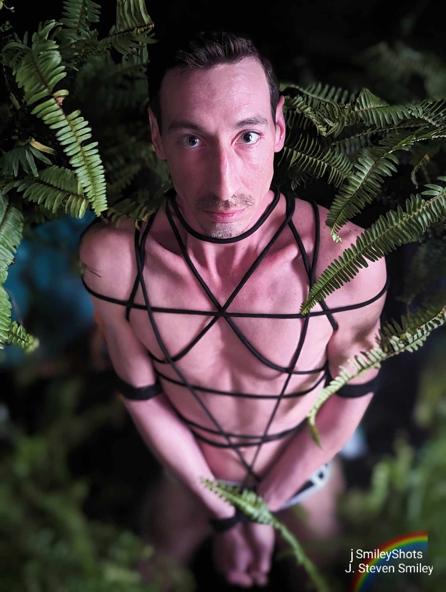 rexmandrews's tweet image. 