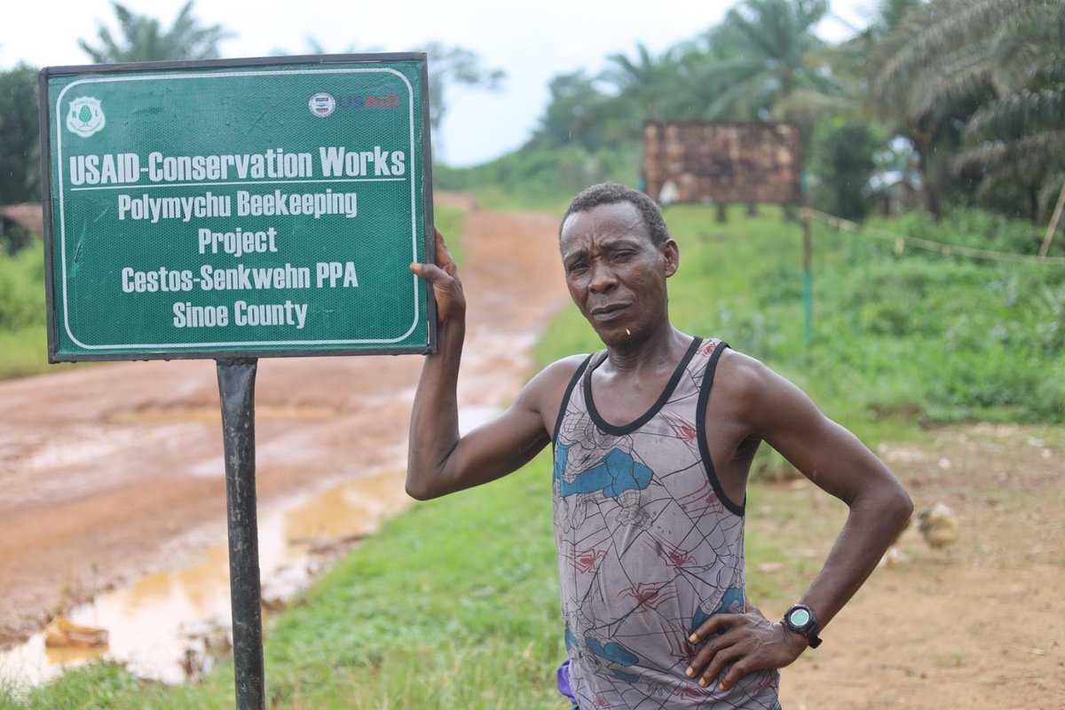 The latest #ConservationWorks newsletter is out! Learn how we’re working w/communities living in and around protected & proposed protected areas to adopt more sustainable livelihood practices, & subscribe today: ow.ly/rquH50R6ZxU @liberiachimps @faunafloraint #PADEV