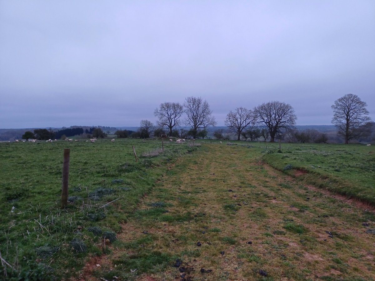 Andrew Bell (@andrewbell1970) on Twitter photo First County top of 2024, Arbury Hill in Northamptonshire. Only 225m high but quite interesting with the vestiges of an Iron Age fort as the draining water feeding 3 rivers, Nene, Cherwell & Leam. No views due to weather but the sheep were entertaining! <a href="/LDWA1/">The Long Distance Walkers Association</a> <a href="/MuirJonny/">Jonny Muir</a> First County top of 2024, Arbury Hill in Northamptonshire. Only 225m high but quite interesting with the vestiges of an Iron Age fort as the draining water feeding 3 rivers, Nene, Cherwell & Leam. No views due to weather but the sheep were entertaining! <a href="/LDWA1/">The Long Distance Walkers Association</a> <a href="/MuirJonny/">Jonny Muir</a>